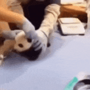 a person wearing gloves is putting a mask on a cat 's head .