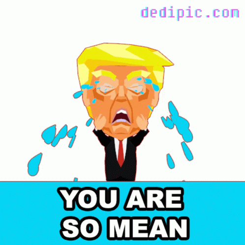 You Are So Mean Trump Lost GIF