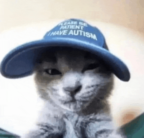 a cat wearing a blue hat with the words `` please be patient i have autism '' on it .