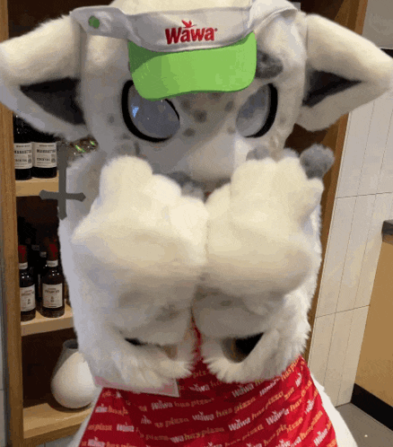 a mascot wearing a hat that says wawa
