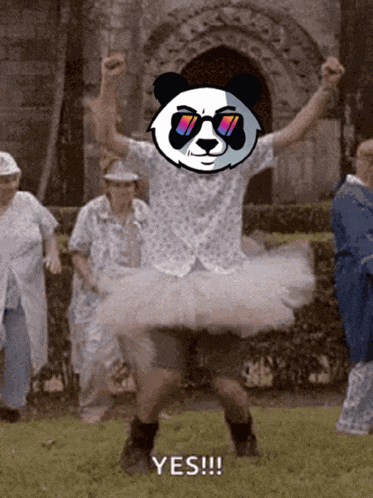 a panda wearing sunglasses and a tutu says yes while dancing