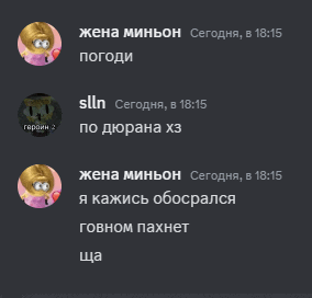 a screenshot of a conversation between slln and a cartoon character