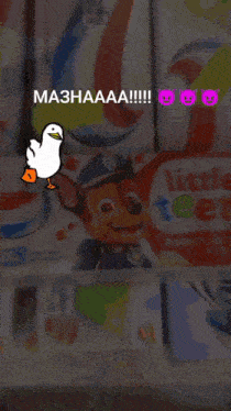 a picture of chase from paw patrol with a duck on top of him