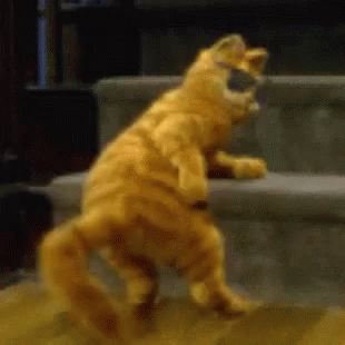 Garfield Butt GIF - Garfield Butt Ass GIFs