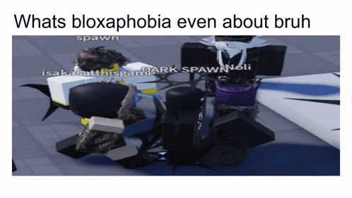 a meme that says whats bloxaphobia even about bruh on it