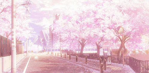 a couple walking down a street surrounded by pink cherry blossom trees