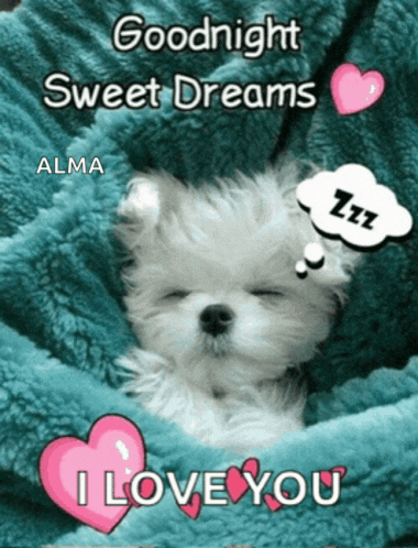 a puppy is sleeping on a blue blanket and says goodnight sweet dreams alma