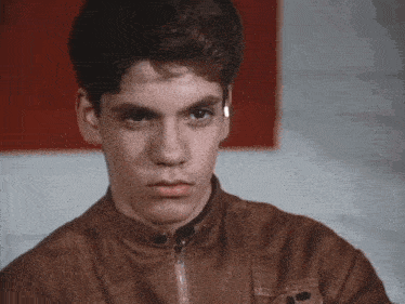 a young man in a brown jacket is looking at the camera with a red background .