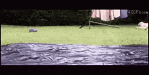 a dog is jumping into a pool of water in a yard .