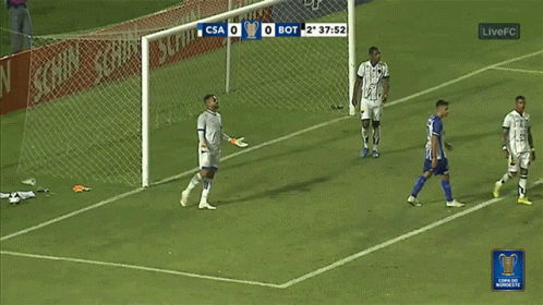 What Happened Csa Vc Botafogo GIF - What Happened Csa Vc Botafogo Oh No GIFs