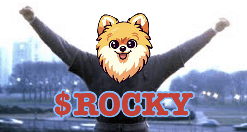 Rocky Rockymemes GIF - Rocky Rockymemes Crypto GIFs