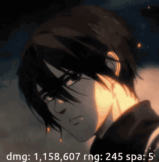 a close up of a person 's face with the words dmg 1,158,607 rng 245 spa 5 below it