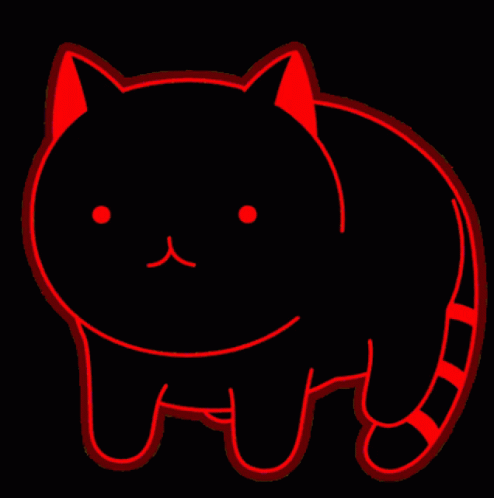 Gato Rodando GIF - Gato Rodando GIFs