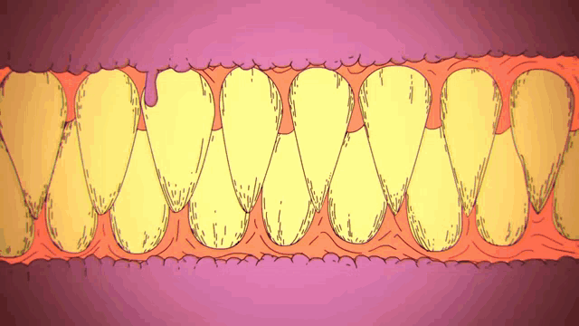 a cartoon drawing of a mouth with teeth and gums