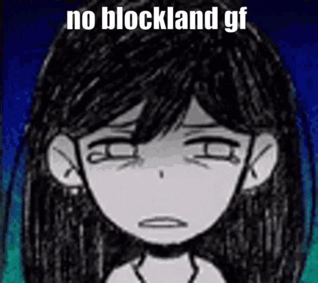 a black and white drawing of a girl with the words `` no blockland gf '' on it .
