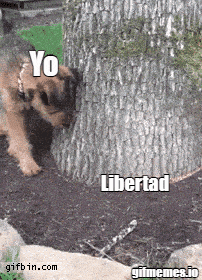 a dog peeking out from behind a tree with the words yo libertad written above it