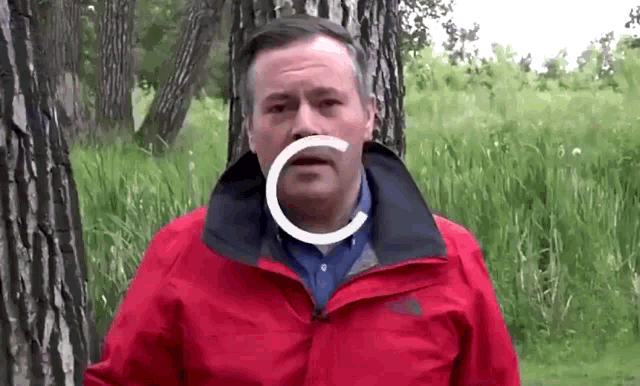 a man in a red north face jacket is standing in front of a forest .