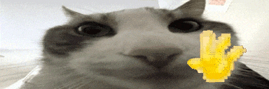 a close up of a cat 's face with a pixelated hand in the background