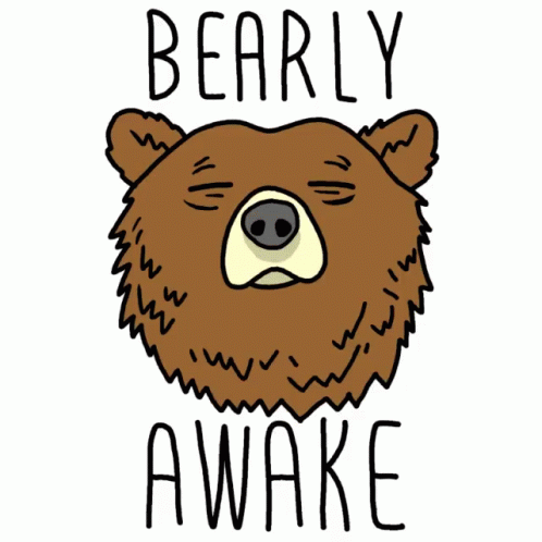 Bearly Awake GIF - Bearly Awake GIFs