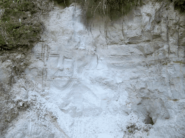 a close up of a white rock with a drawing of a face