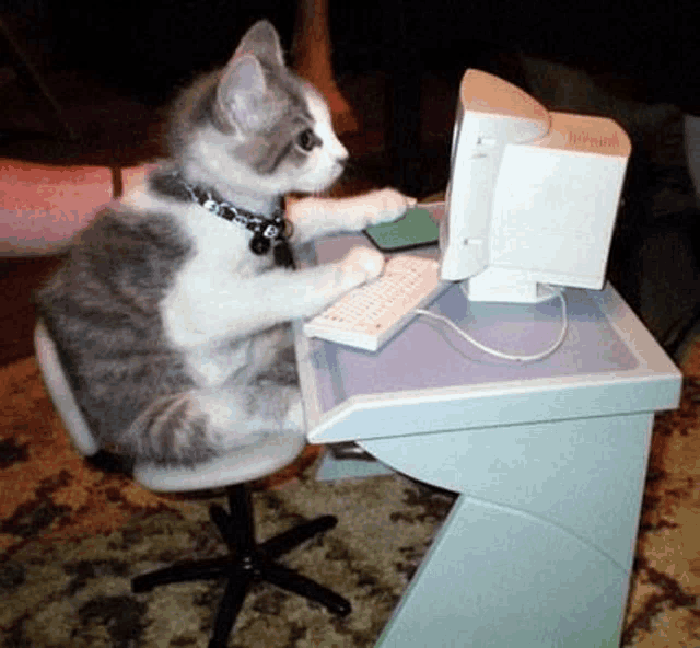 a cat is sitting in front of a computer keyboard