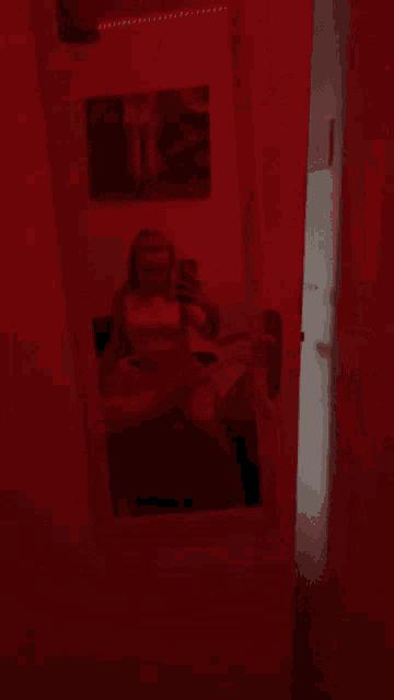 a woman is taking a picture of herself in a red room