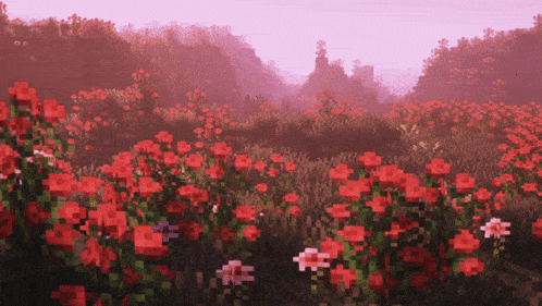 a field of red flowers with a pink sky in the background