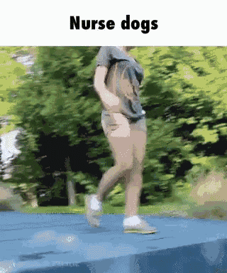 Nurse Dogs GIF - Nurse Dogs Animals GIFs