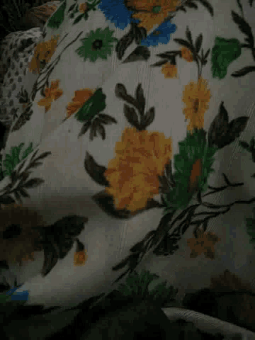 a close up of a floral pattern on a cloth