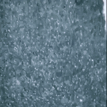 a close up of a sponge with a lot of bubbles on it