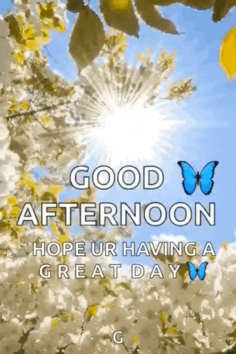 a good afternoon greeting card with a butterfly and the sun shining through the trees