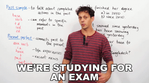 Were Studying For An Exam Benjamin GIF - Were Studying For An Exam Benjamin Engvid GIFs