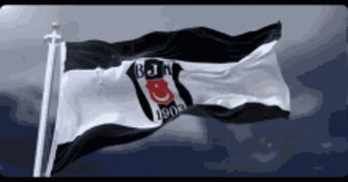 Beşiktaş GIF - Beşiktaş GIFs