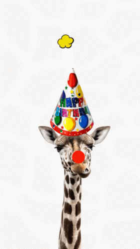 Happy Bday Girafliciteerd GIF - Happy Bday Girafliciteerd Pabien GIFs