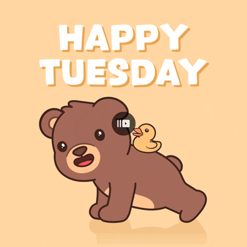 a happy tuesday card with a teddy bear and a duck on its back