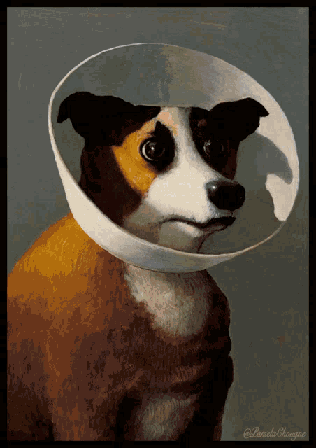 a painting of a brown and white dog with a cone around its neck