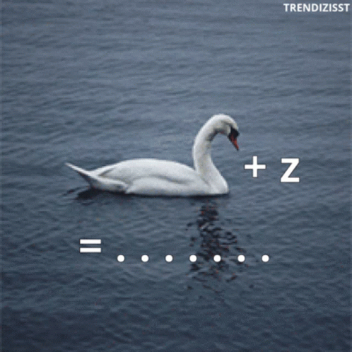 Swimming Swan GIF - Swimming Swan Picture Puzzle GIFs