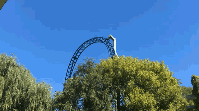 a roller coaster is surrounded by trees and a clear blue sky