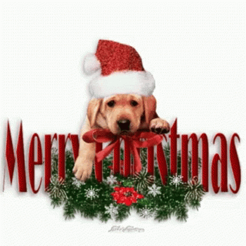 Merry Christmas Dog GIF - Merry Christmas Dog Cute GIFs