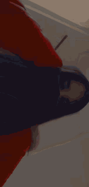 a woman wearing a black face mask and a red jacket