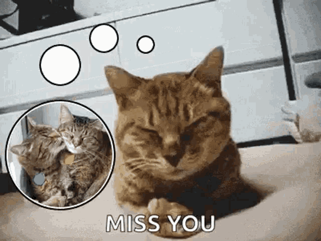 Thinkig Of You Miss You GIF - Thinkig Of You Miss You Imy GIFs