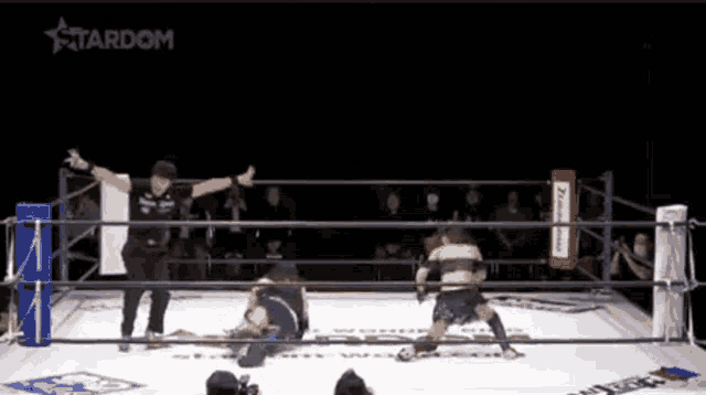 a wrestling ring with the word stardom on the bottom right