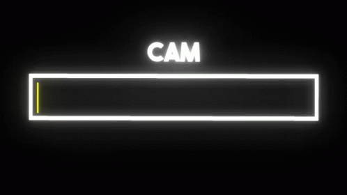 Cam Smh GIF - Cam Smh Did Not Ask GIFs