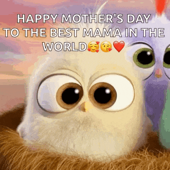 happy mother 's day to the best mama in the world !
