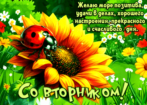 a ladybug sits on top of a sunflower with the words " co btophkom " below it