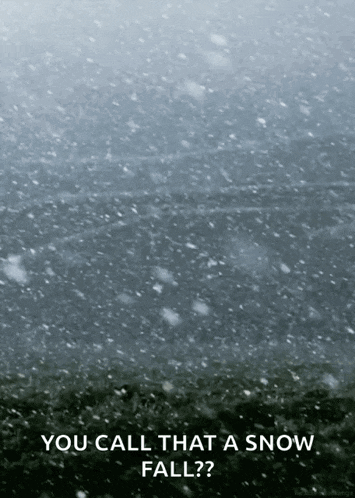 a poster of snow falling with the words " you call that a snow fall "