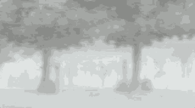 a man is running through a foggy forest in a black and white photo .