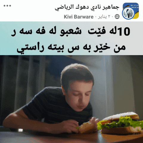 a picture of a boy eating a sandwich with a kiwi barware logo