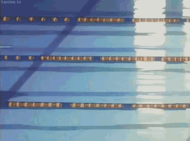 a swimming pool with a lot of lines and a lot of water