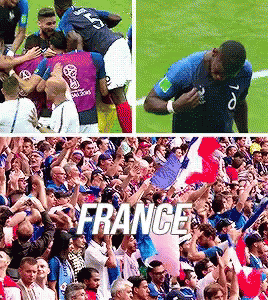 France World Cup GIF - France World Cup Fifa18 GIFs
